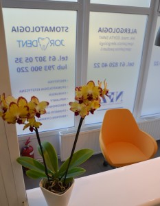 Stomatolog - JorDent, Poznań - Winogrady, poczekalnia